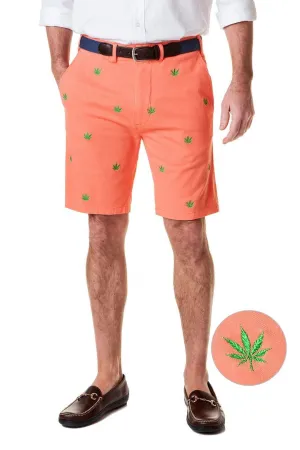 Special Sale Men's Cisco Embroidered Shorts by Castaway Clothing Pot on Orange