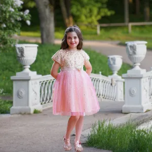 Veronica Ombré Gradient Dress - Pinky Gold